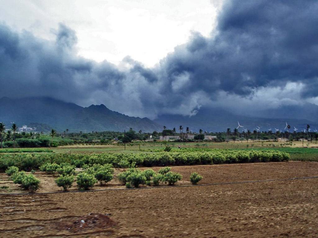 good-monsoon-helped-sowing-increase-by-87-percent-this-year