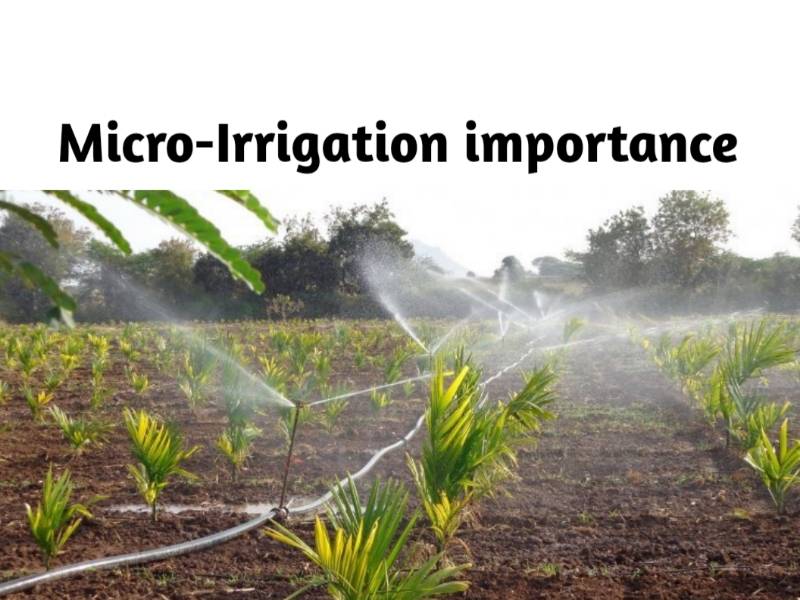 Micro Irrigation: A Solution to India’s Water Crisis - Krishi Jagran
