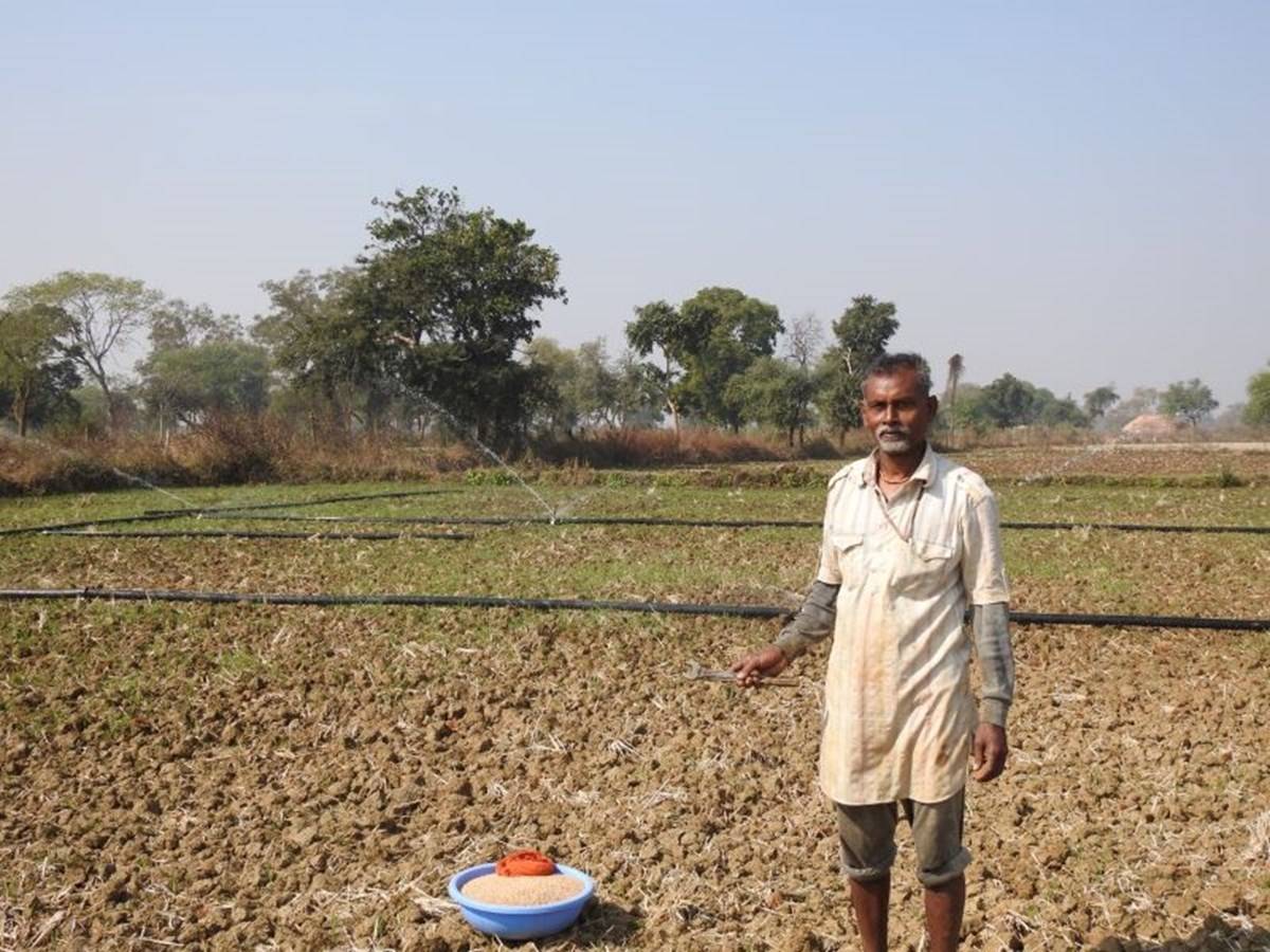 A Farmer Standing In The Field