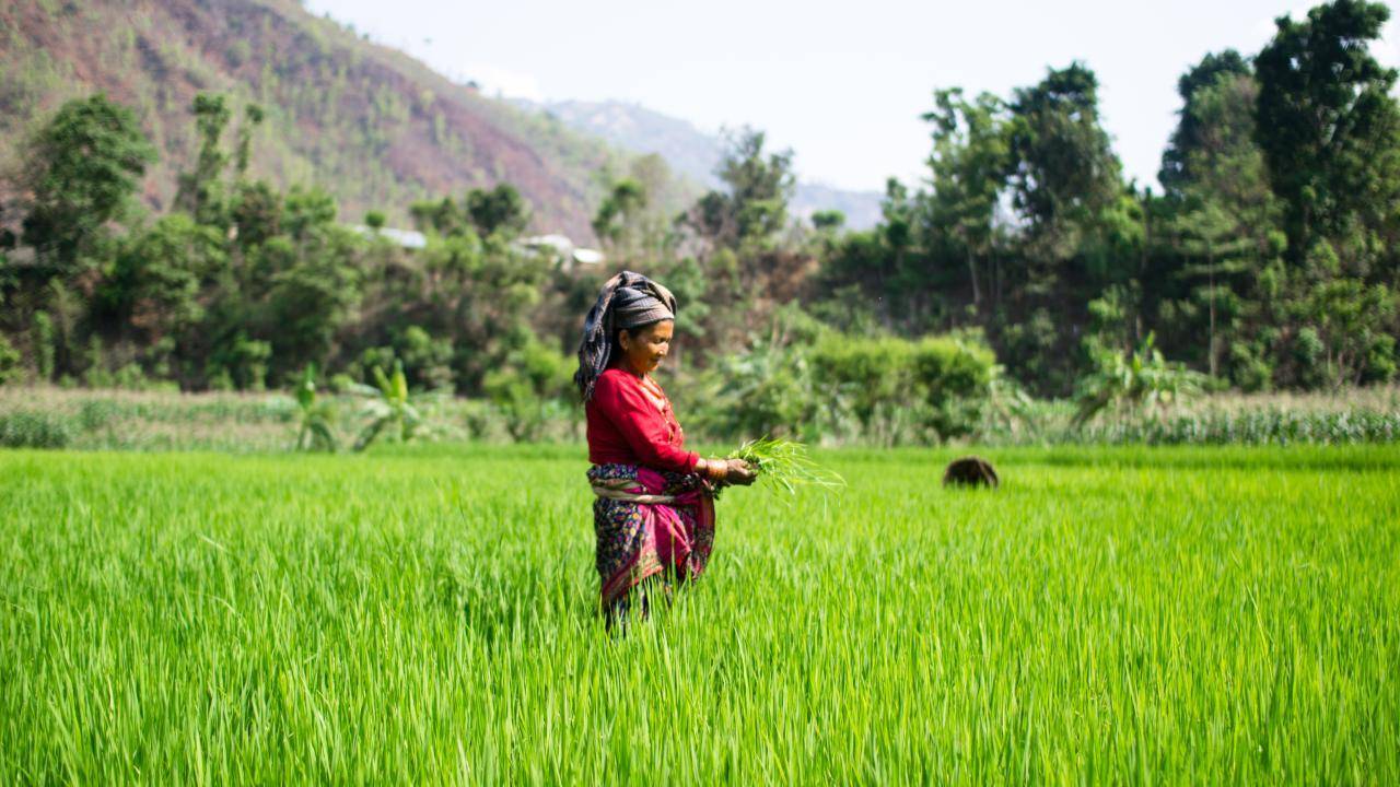 farming risks