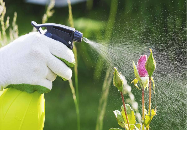 organic insecticides and pesticides