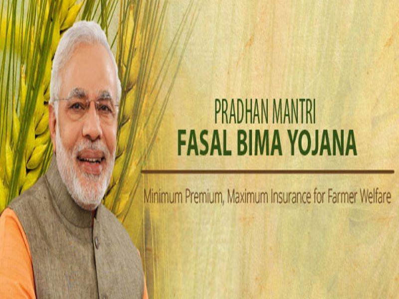 PMFBY: Insure your Kharif Crop and Compensate for losses, Know how to ...