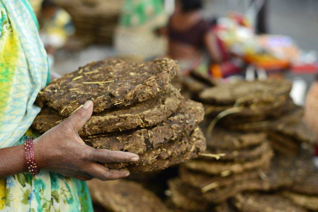 cow dung products business plan