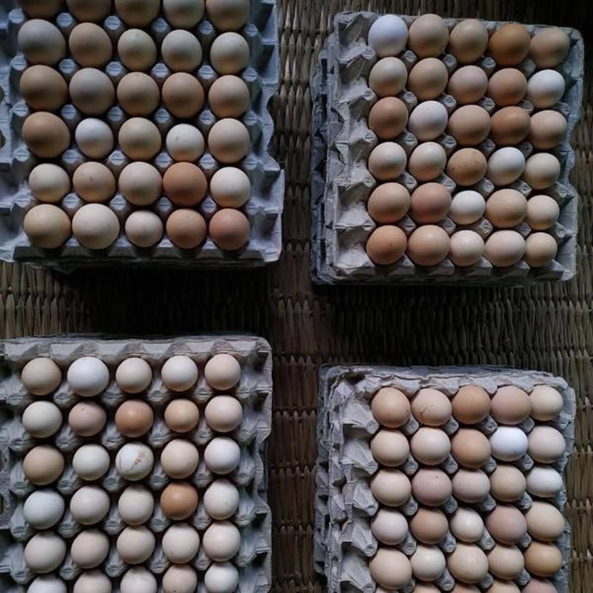Crates of Eggs