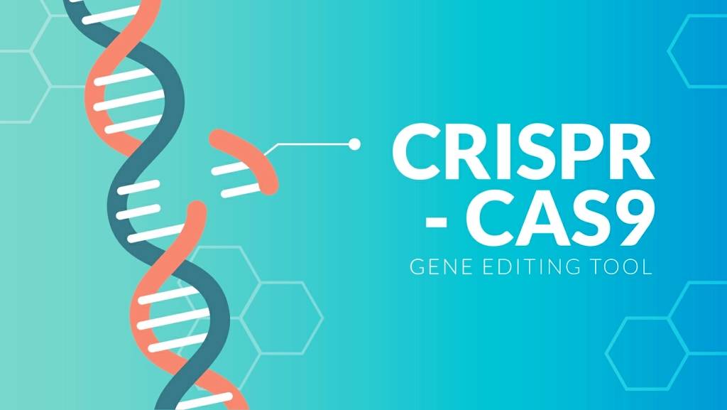 crispr