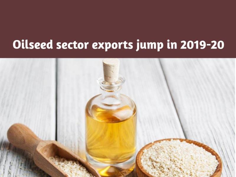 Edible Oil exports register smart growth in 2019-20 - Positive ...