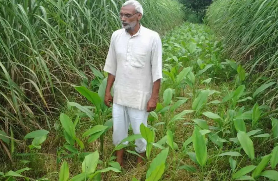 Padma Shri Bharat Bhushan Tyagi Shares His Experience and Techniques of Doing Organic Farming