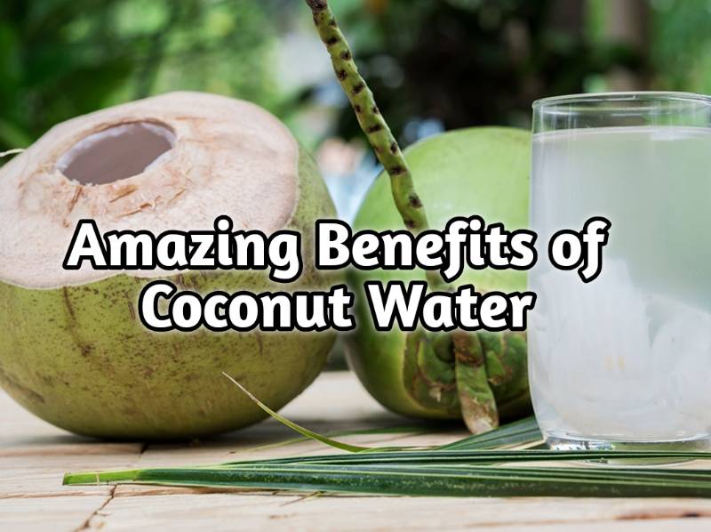 Benefits of Coconut Water: Know Why You Must Add This Wonder Drink to ...