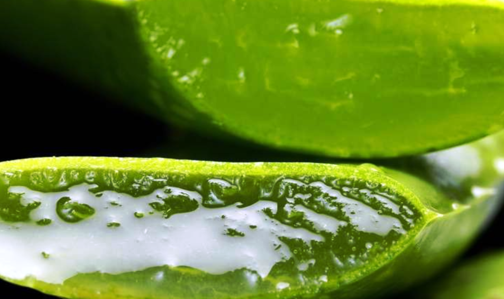 aloe vera gel