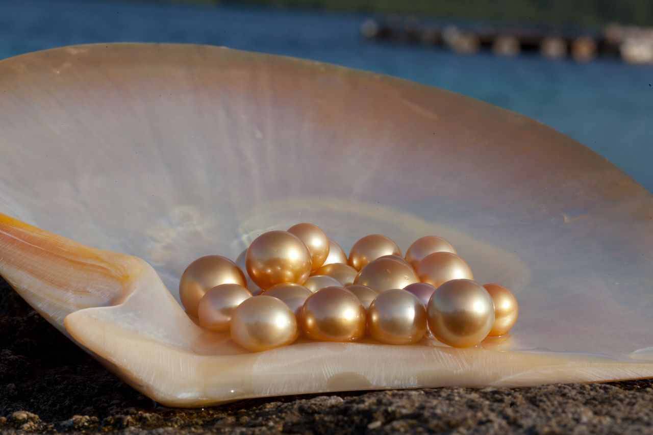 Pearl Farming: How to Start, Investment, Huge Profits & Where to Sell ...