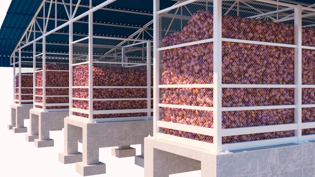 onion storage