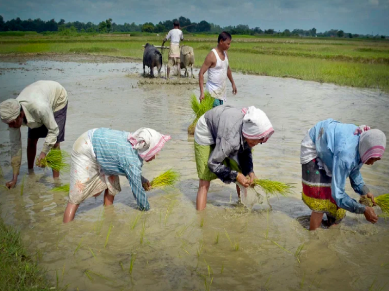 PM Kisan beneficiaries