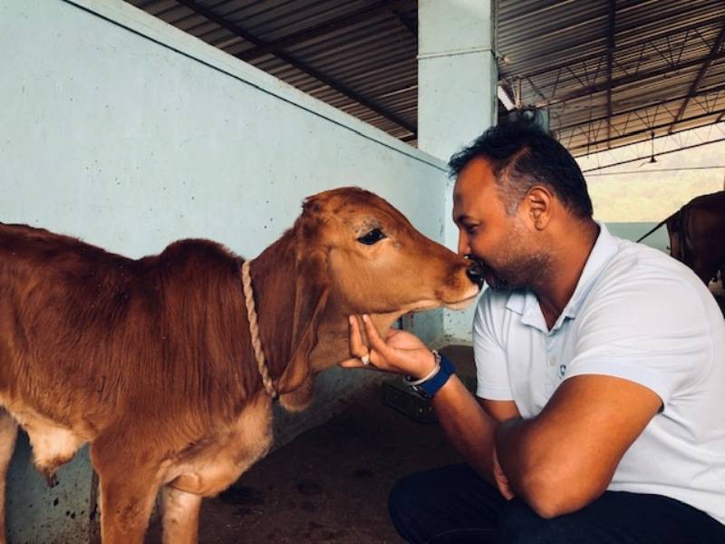 Aniish Shah with his Calf