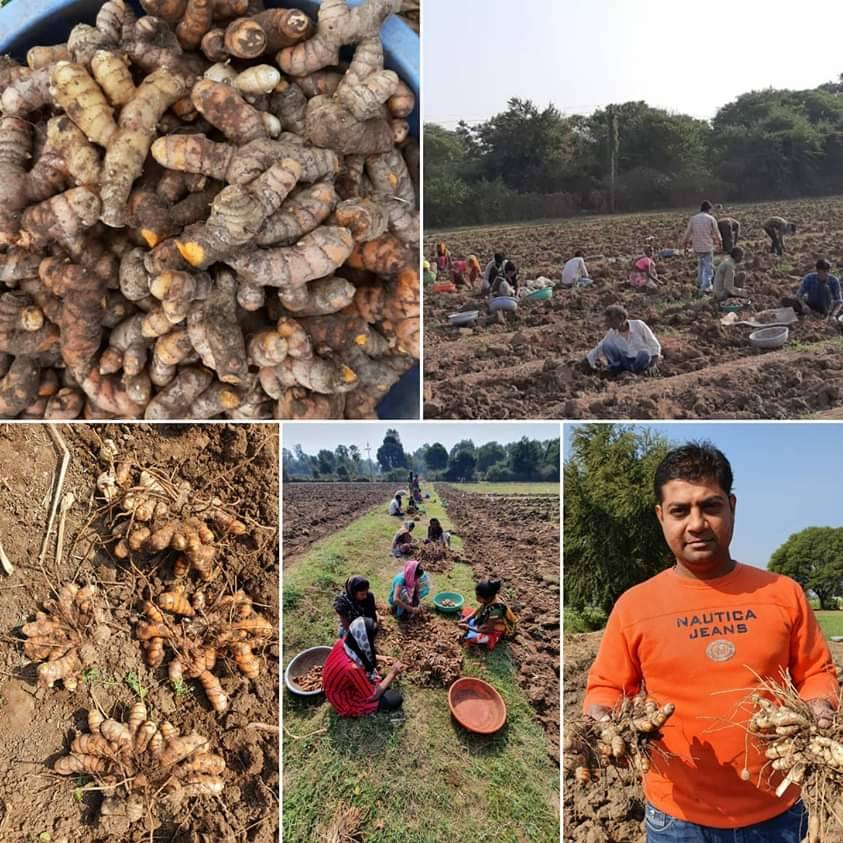 Satva Organic Founder Devesh at his Farm