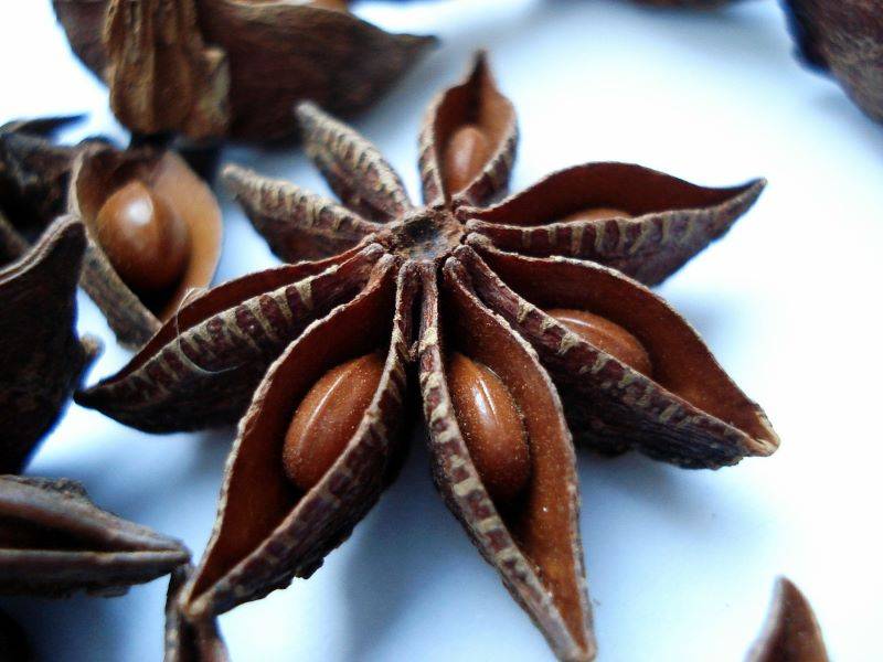 Star Anise