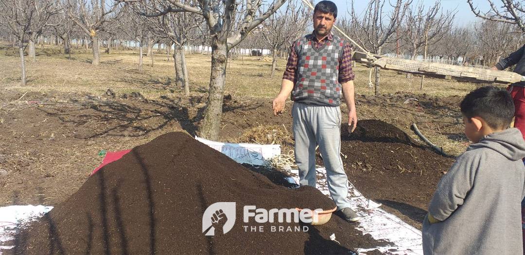 Freshly harvested Vermicompost