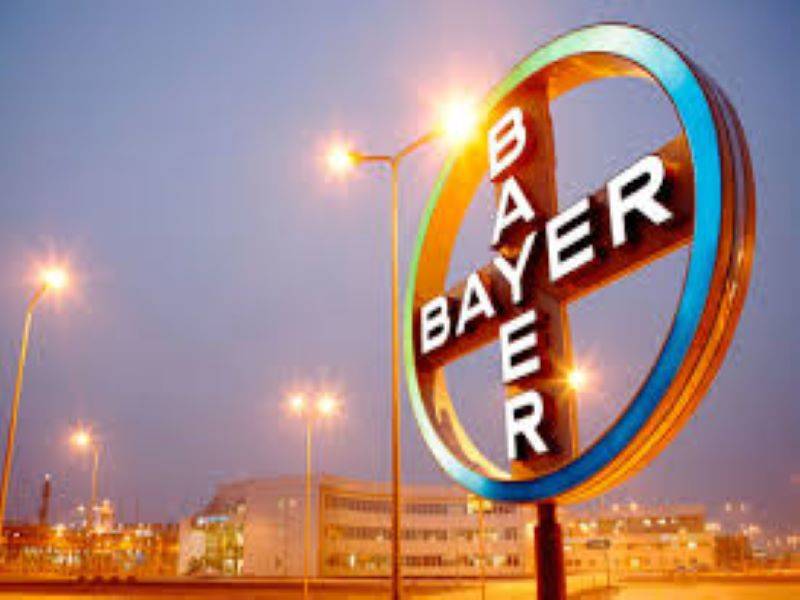 bayer