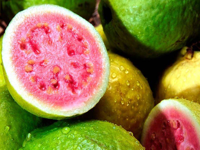 vitamin c fruits guava