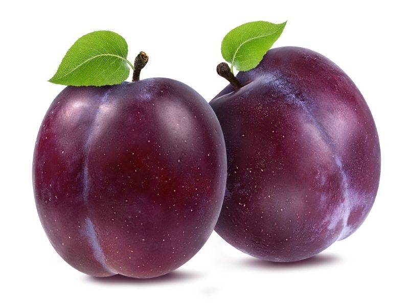 plum