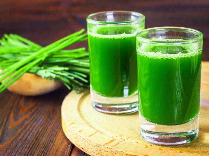 wheatgrass