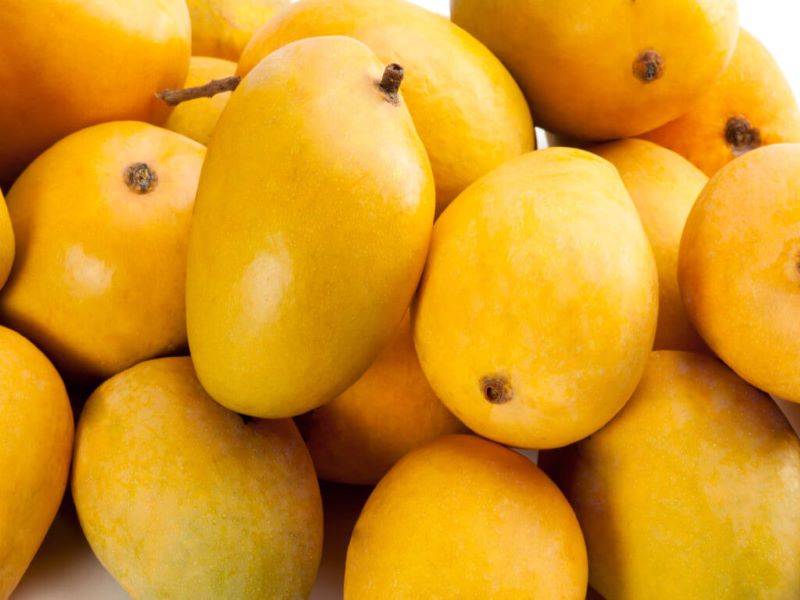 mangoes