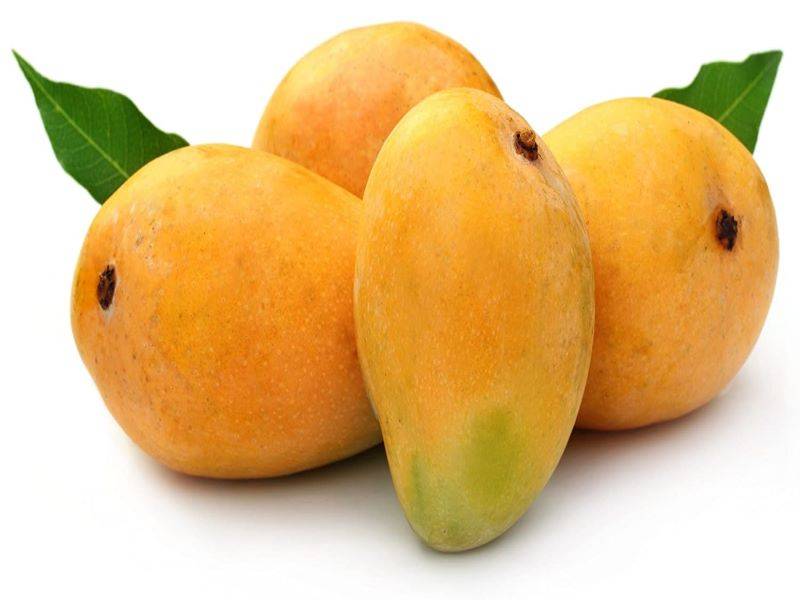 hapus mango tree wallpaper