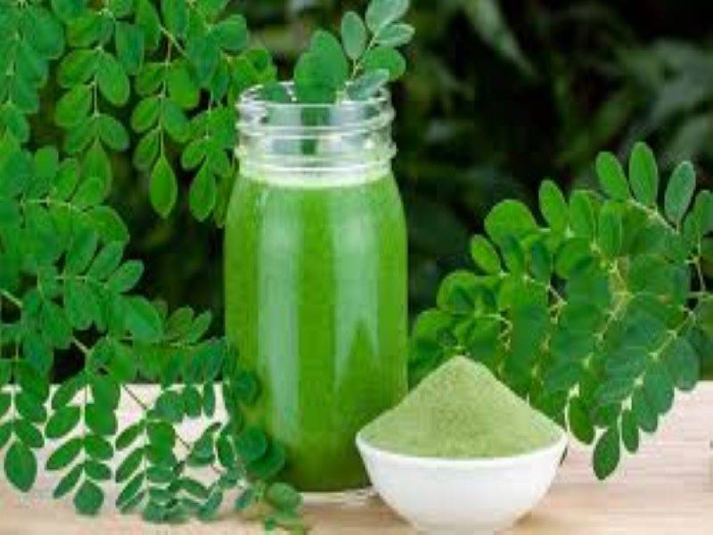 moringa