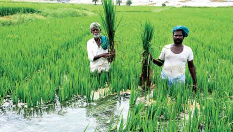 farmers in india
