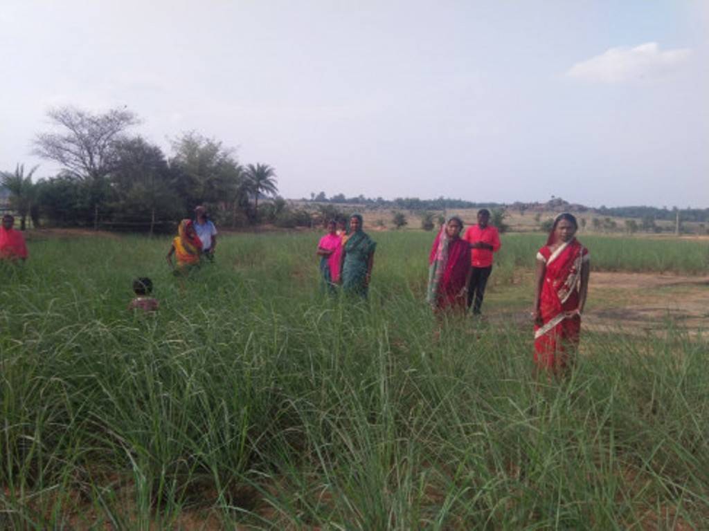 Ladies standing in the field