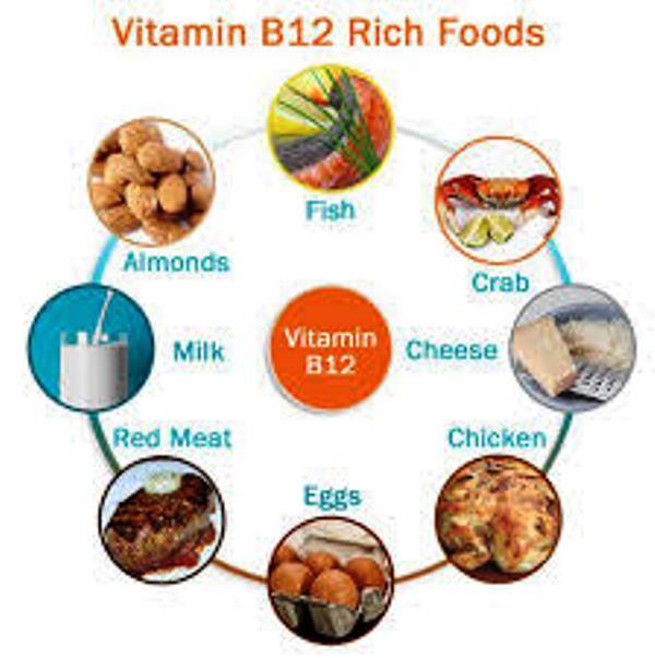 What Vegetables And Fruits Contain B12 - Best Vegetable In ...