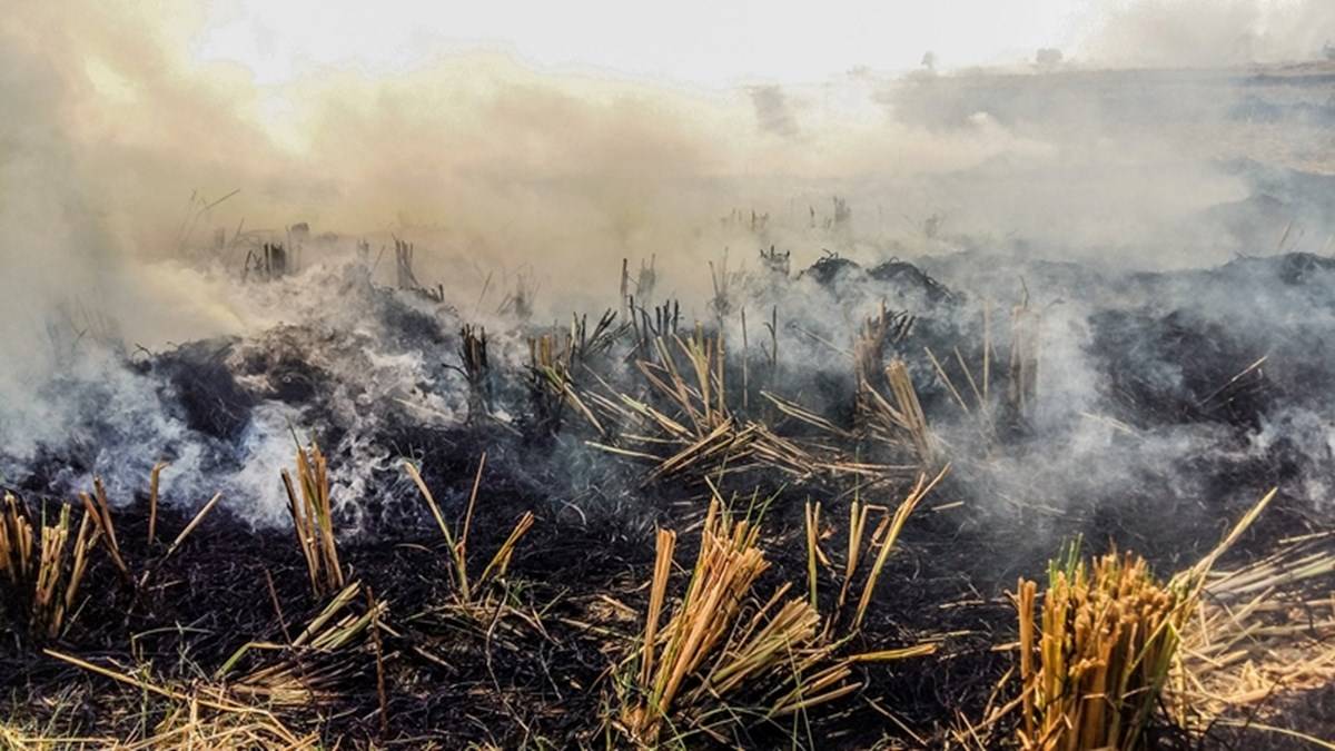 the Buring of Crop residues