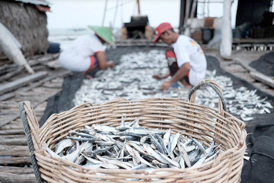 aquaculture