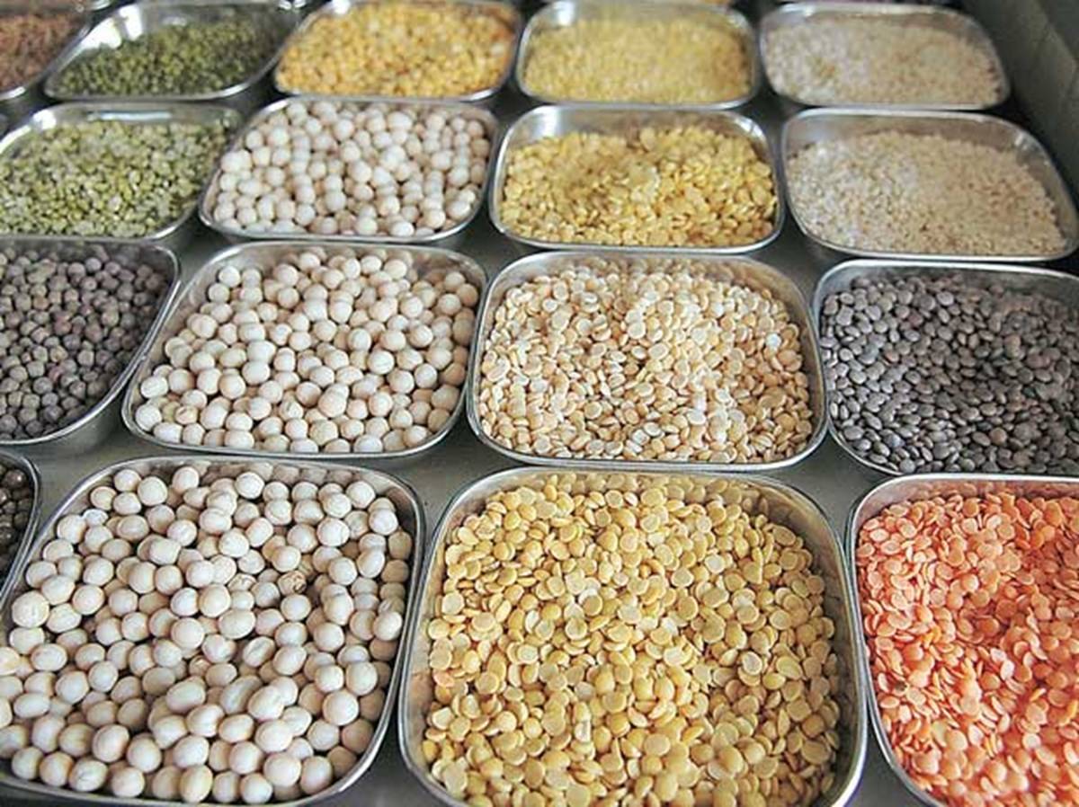 Pulses Business