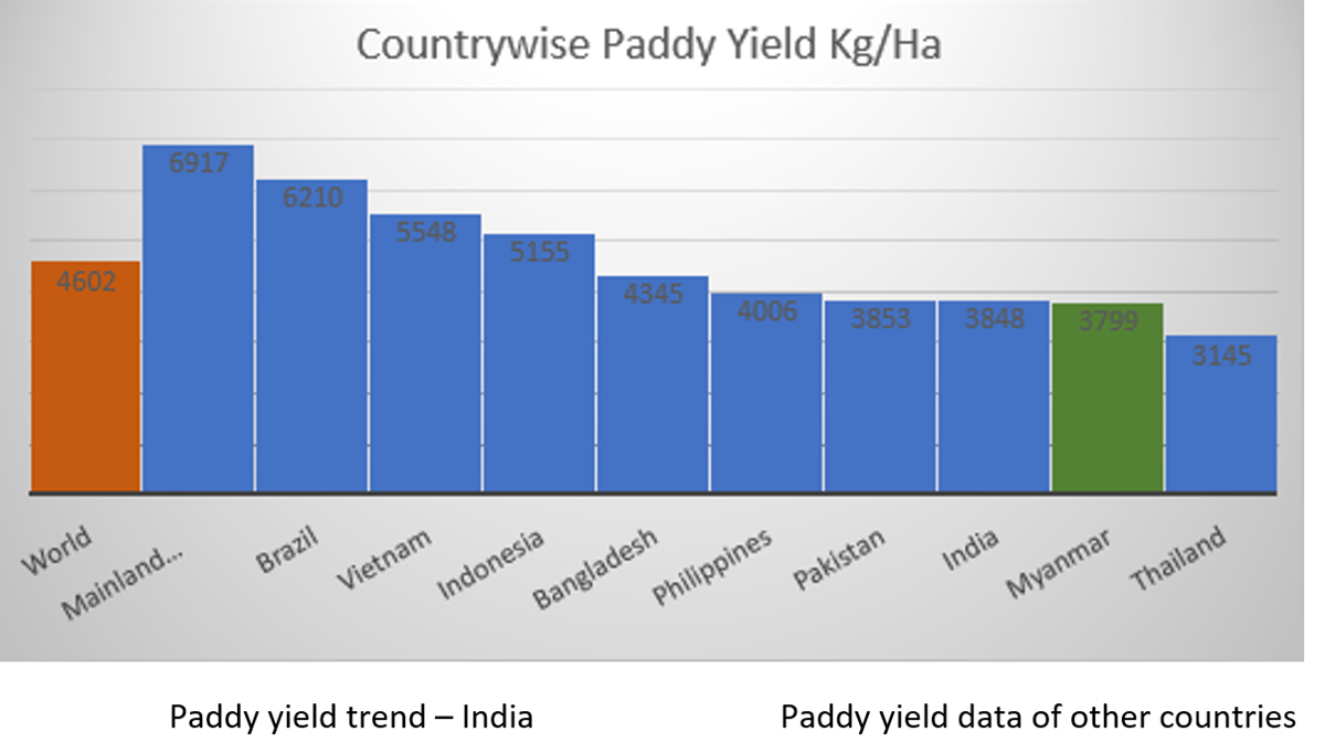 paddy trend