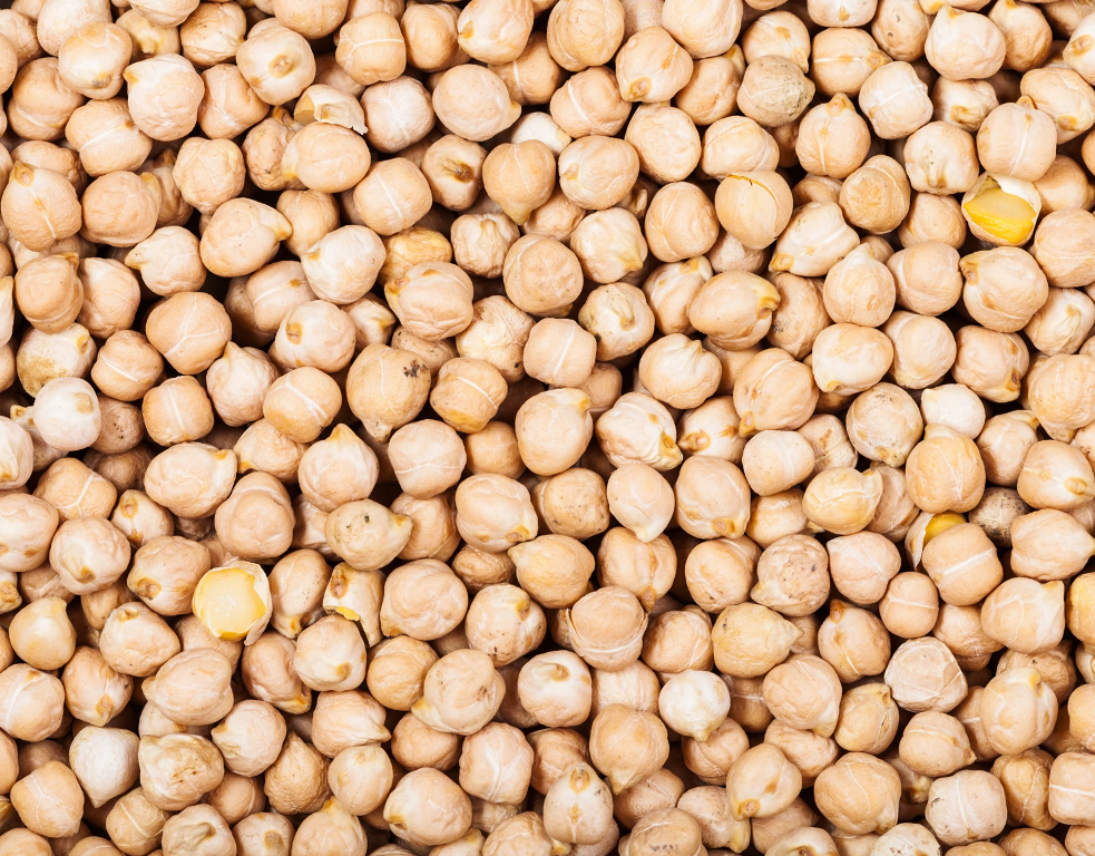 Chickpea