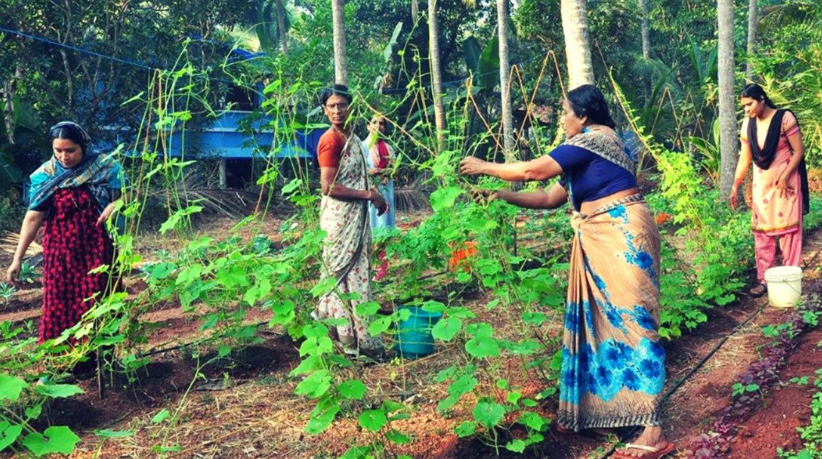 Kerala farmers