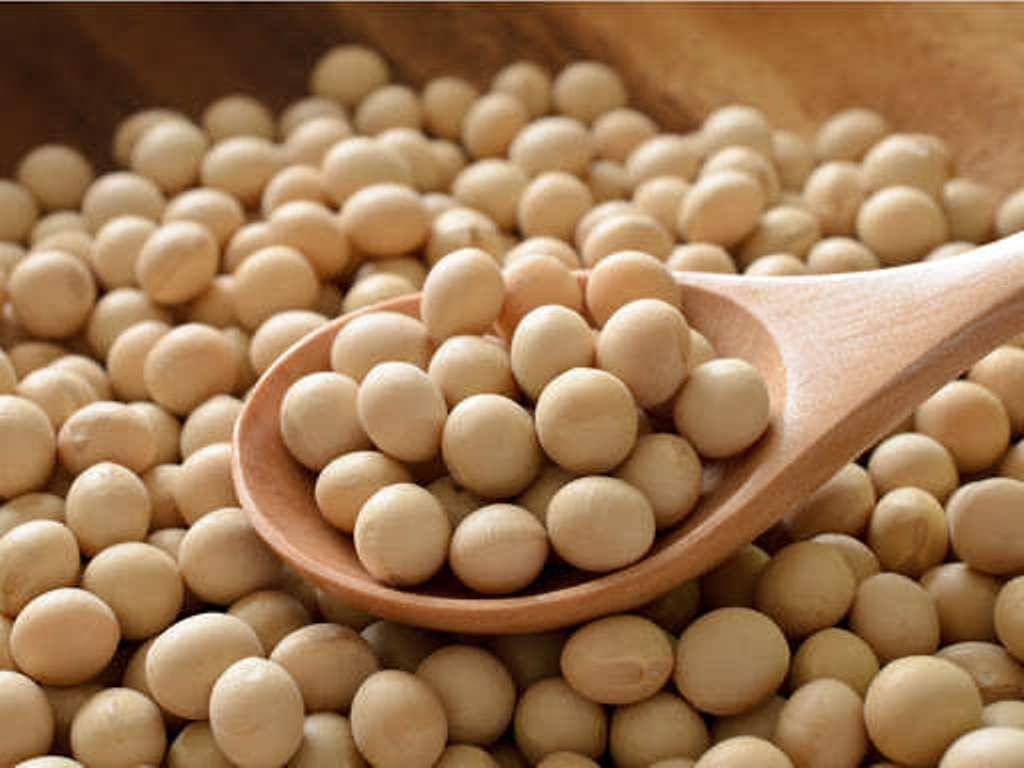 Global Soybean Market Review Prices in US likely to remain Firm in Future