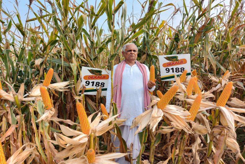 corn farmer