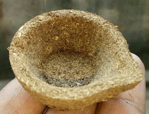 cow dung diya