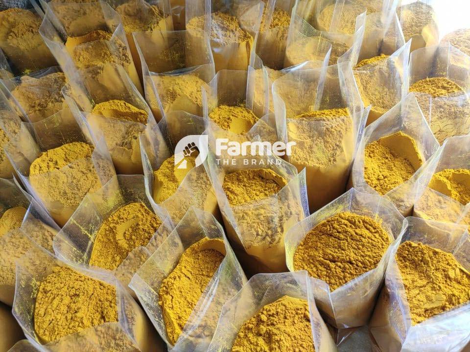 Organic Turmeric from Chintan Shah's Farm