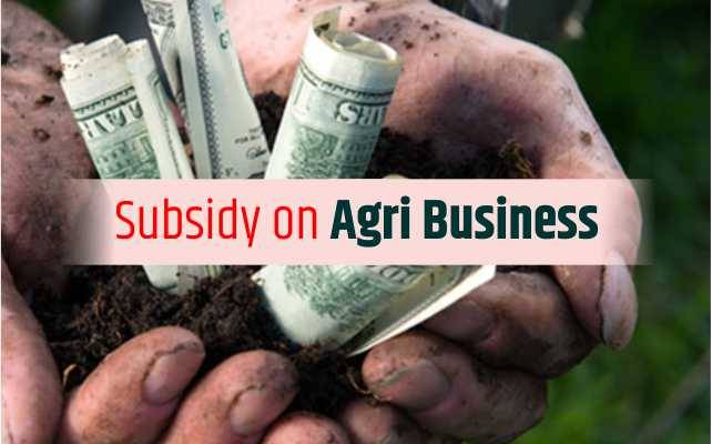 Agriculture Business Loan: Get 44% Subsidy On Rs 20 Lakh Loan By NABARD ...