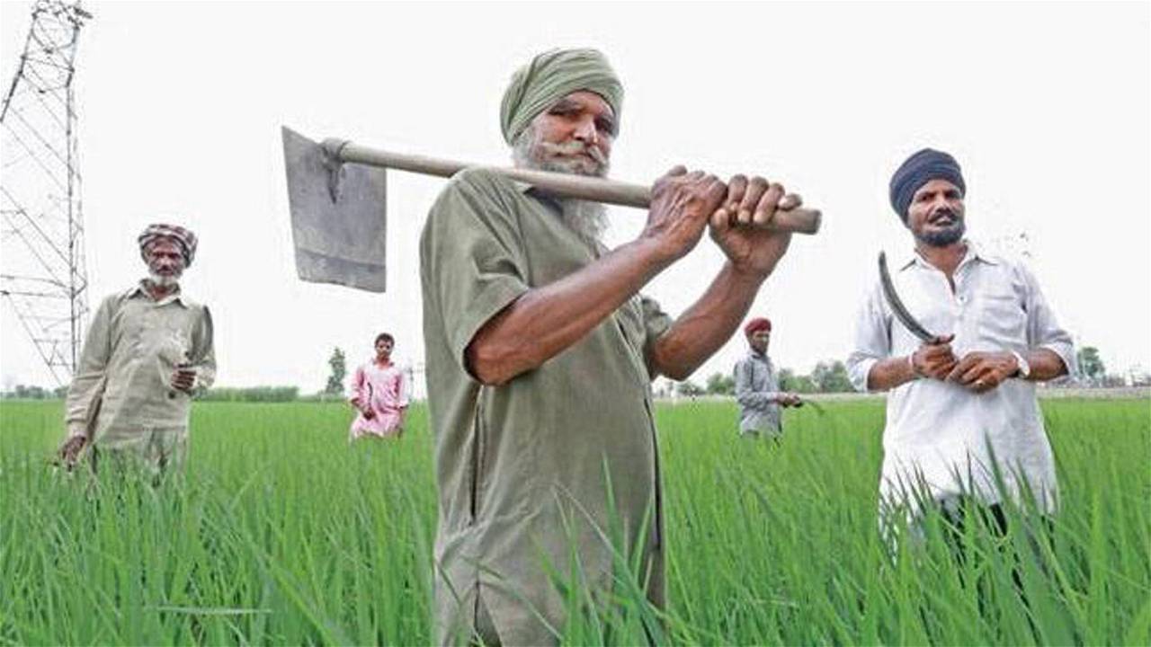 Punjab Farmers