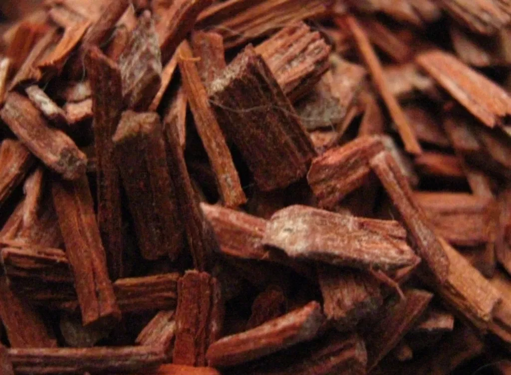 White Sandalwood And Red Sandalwood Uses Benefits And Much More