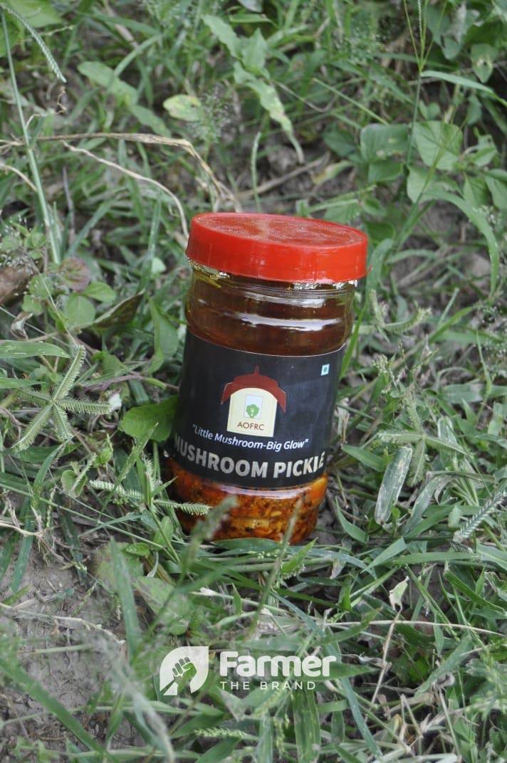 Mushroom Pickle produced by Aamalda organics