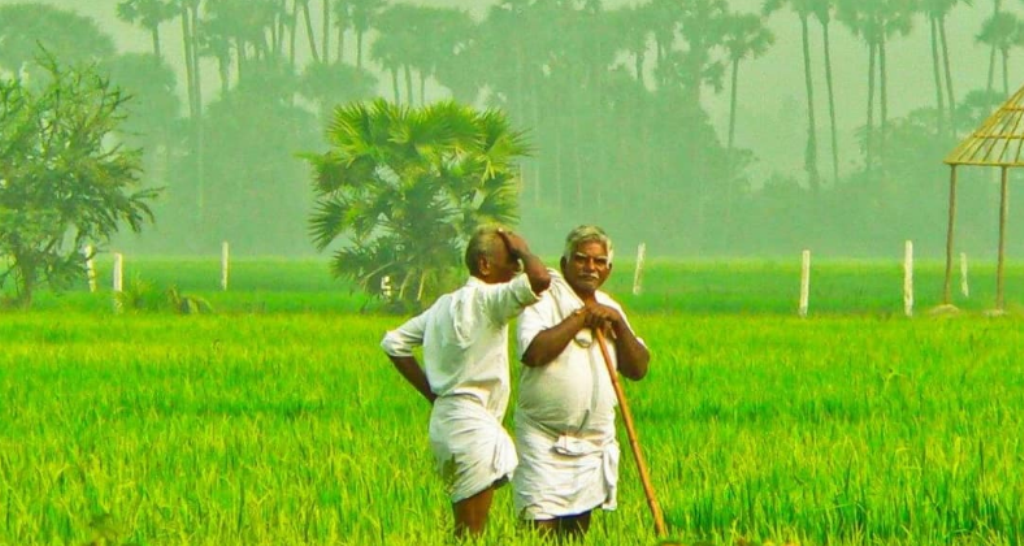 indian farmers