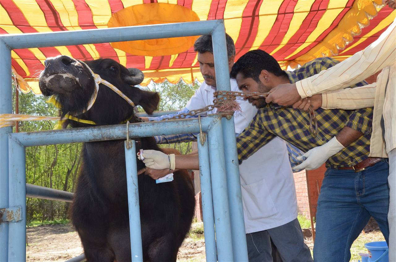 dairy farmers