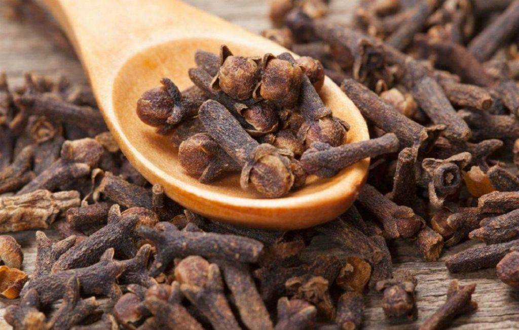Check out the Most Prominent Clove Varieties in India & Its Amazing Health  Benefits