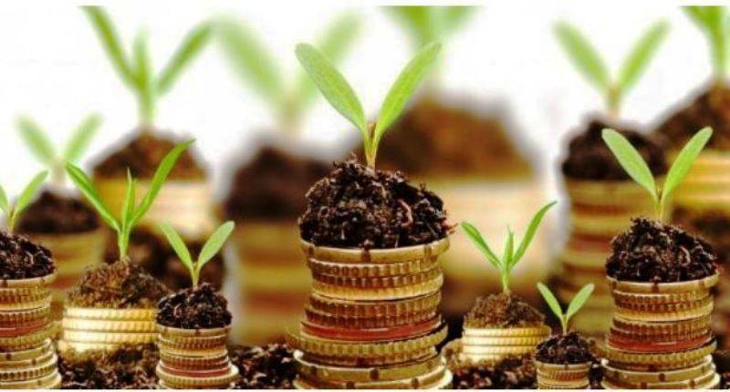 profitable-agri-business-ideas-start-this-new-business-and-earn-up-to