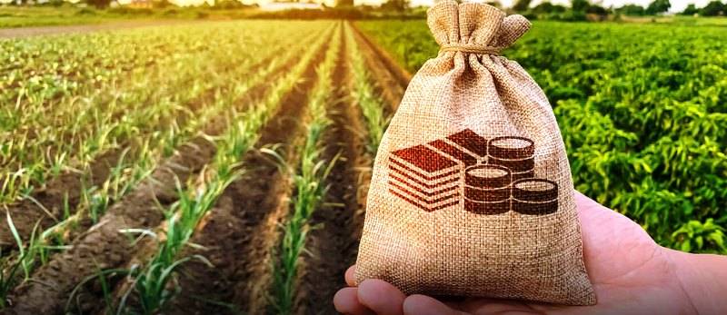 Profitable business in agriculture