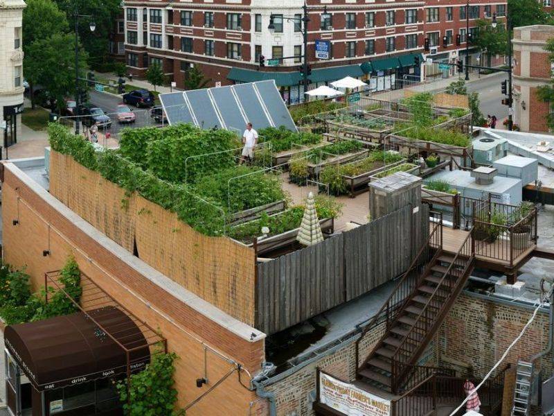 Roof farming